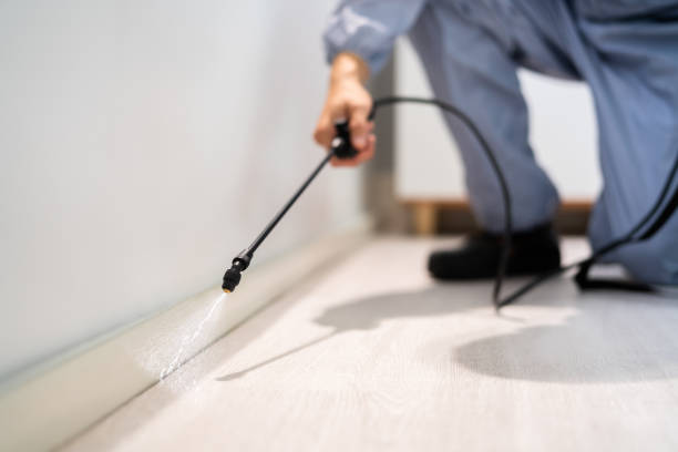 Licensed Cockroach Control service in Brunswick, GA - Nex Pest Control