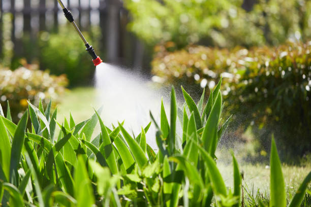 24/7 Emergency Cockroach Control experts in Brunswick, GA