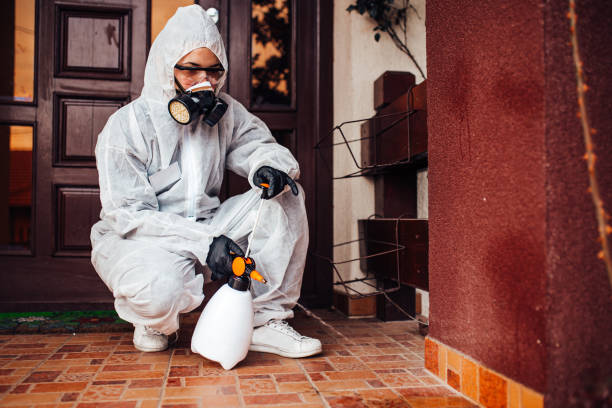 Reliable Cockroach Control contractor in Brunswick, GA by Nex Pest Control