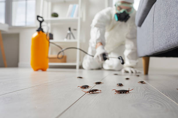 Trusted Cockroach Control service in Brunswick, GA - Nex Pest Control